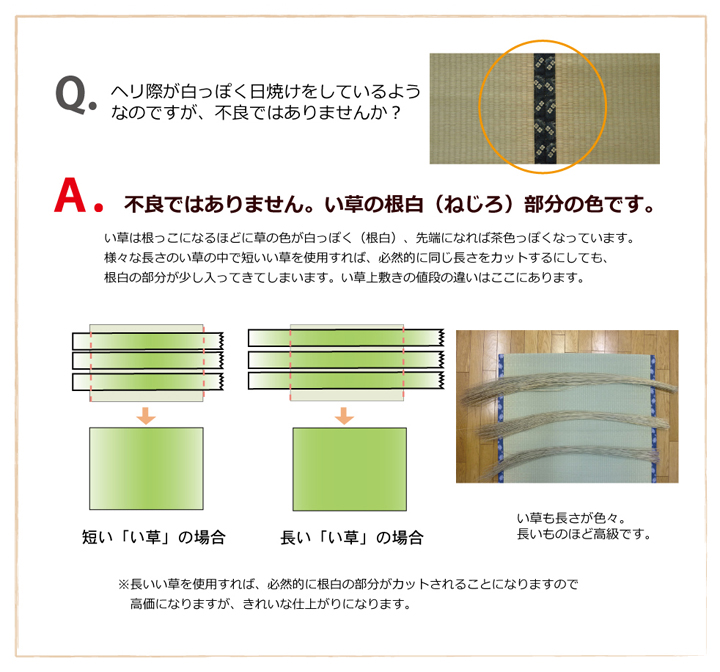 国産・抗菌防臭機能付きの双目織い草上敷き 『富士』 本間2～8畳 